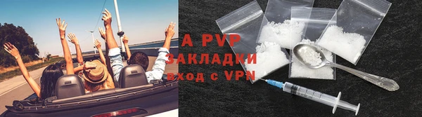 трава Бородино