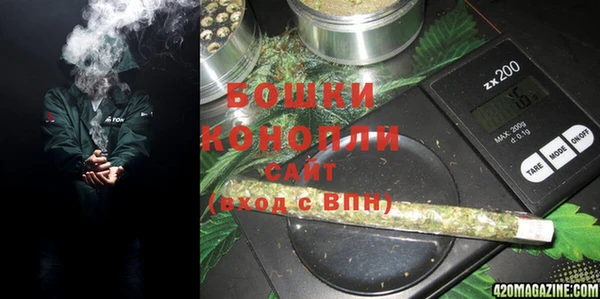 трава Бородино