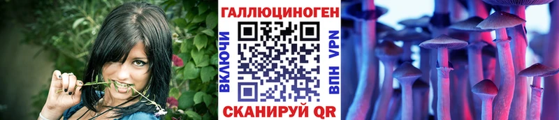 darknet Telegram Гай Галлюциногенные грибы ЛСД