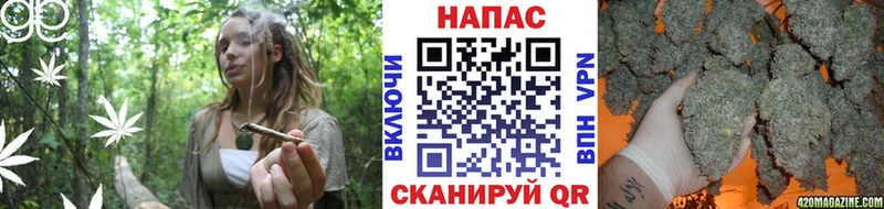 Бошки марихуана LSD WEED  Гай 